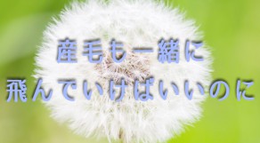 脱毛機は産毛などの薄い毛に反応しずらいって知ってましたか？