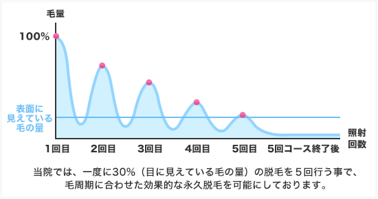 毛がなくなるまで