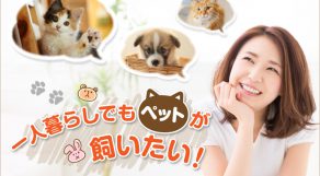 一人暮らしでもペットが飼いたい！人気の動物と費用のまとめ